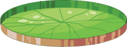 Lá sen, lotus leaf