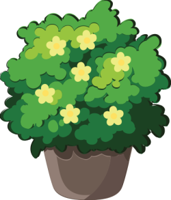 Hoa, flower, chậu hoa,flower pot