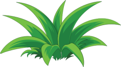 cỏ, grass