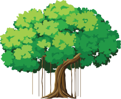 Cây, tree