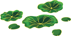 lá sen, lotus leaf, lotus, sen