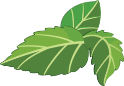 lá, leaf