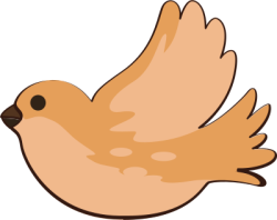 chim, bird