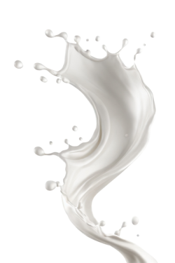 sữa, milk 6