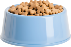 Thức ăn động vật, thức ăn chó méo, pet food, thú cưng, pet