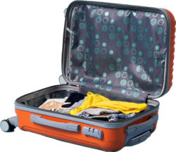 vali, túi đựng quần áo, hành lý,suitcases, clothes bags, luggage 1