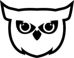 Chim, bird, chim cú mèo,owl