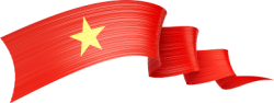 Cờ, flag, Việt Nam