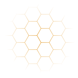 tổ ong, hive