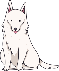 Cún, dog, puppy, chó, cute, dễ thương, pet, động vật 1