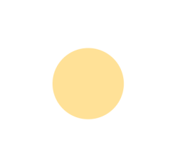 Hoa, hoa cúc, flower, daisy
