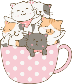 Cute, dễ thương, mèo, cat