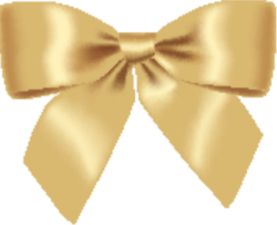 nơ, bow tie