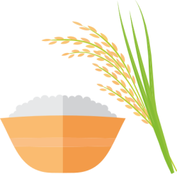 Việt Nam, gạo, rice, lúa, cơm