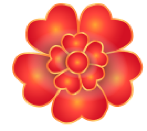 hoa, flower, tết, truyền thống, traditional