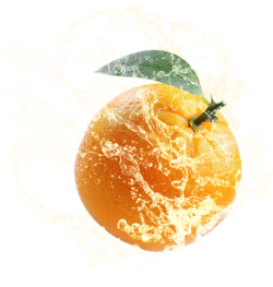orange, cam 1