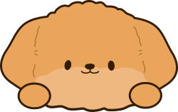 Pet, thú cưng, vật nuôi, cún, chó, dog, puppy, cute, dễ thương