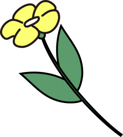 Hoa, hoa lá, flower, cute, dễ thương