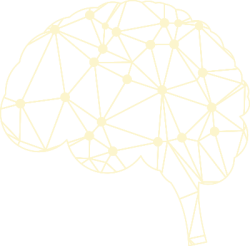 não, brain