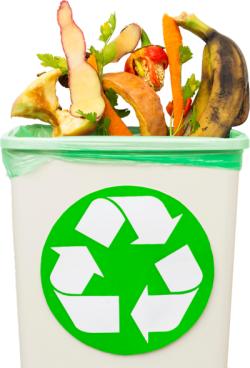 rác thải, rau củ, waste, vegetables