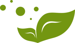 Logo, cam, chanh, lemon, orange, lá