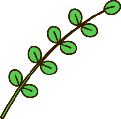 Lá, lá cây, leaf, leave, cute, dễ thương