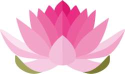 Việt Nam, hoa sen, hoa, sen, lotus