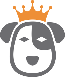 Dog, con chó, pet, thú cưng