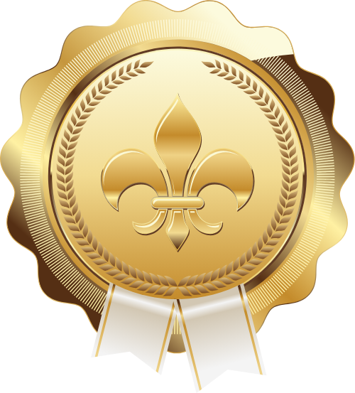 Huy hiệu, huy chương, giải thưởng, badges, medals, awards 1
