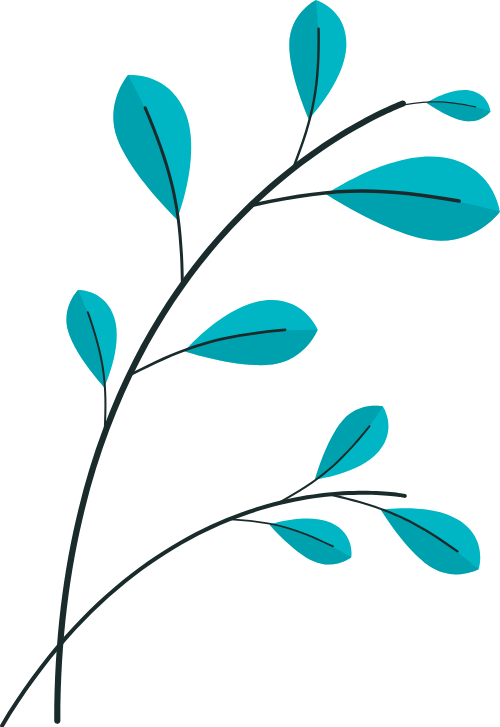 lá, leaf