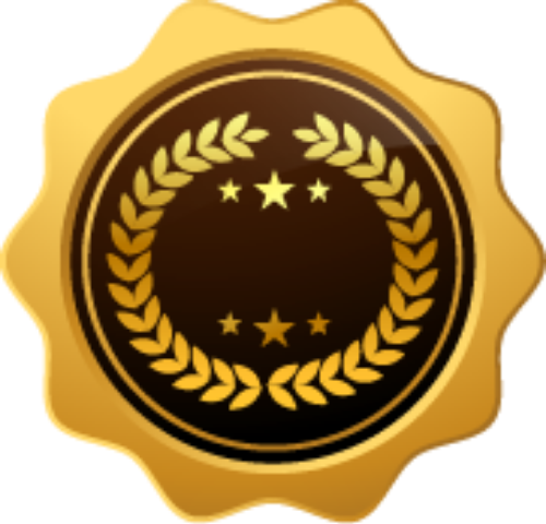 Huy hiệu, huy chương, giải thưởng, badges, medals, awards 1