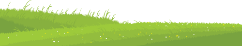 Trái đất, earth, môi trường, environment, bãi cỏ, đám cỏ, grass, hoa, flower
