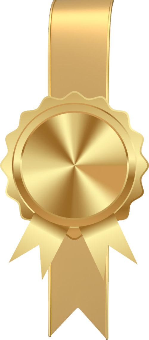 Huy hiệu, huy chương, giải thưởng, badges, medals, awards 3