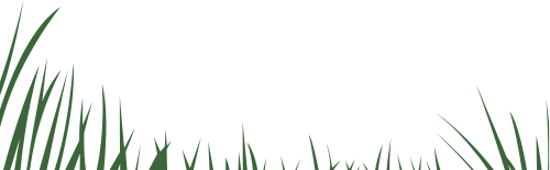 Cỏ, bãi cỏ, grass,lawn