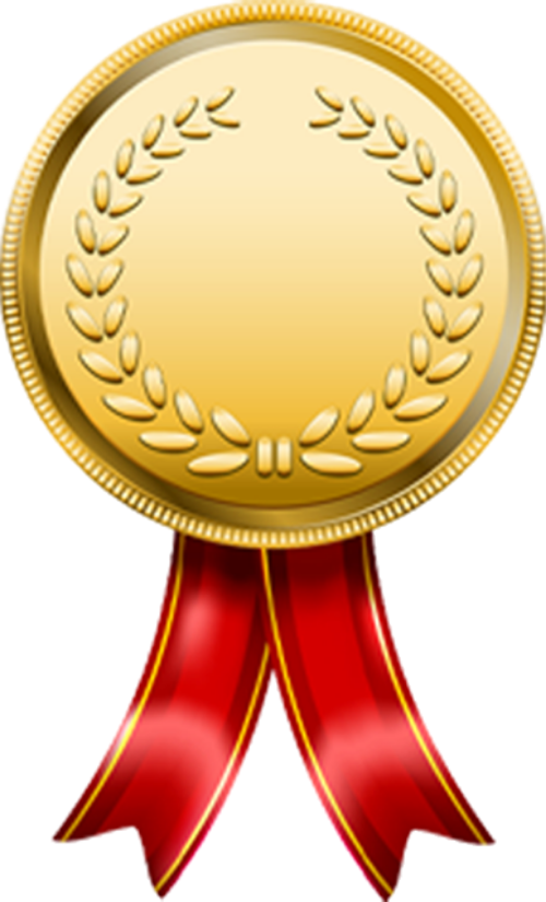 Huy hiệu, huy chương, giải thưởng, badges, medals, awards 5