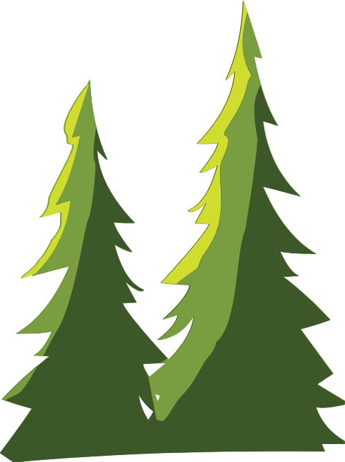 Cây, cây thông,trees, pine trees