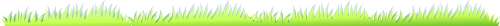 Shape, lá, cỏ, grass, bãi cỏ, đám cỏ