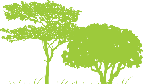 Trái đất, earth, môi trường, environment, cây xanh, tree