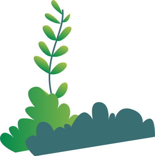 Trái đất, earth, môi trường, environment, cỏ, grass, đám cỏ, bãi cỏ