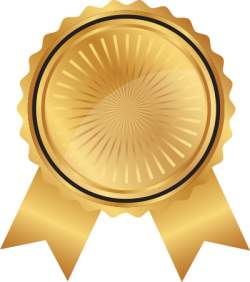 Huy hiệu, huy chương, giải thưởng, badges, medals, awards 5