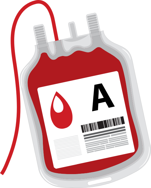 máu, hiến máu, giọt máu, tình nguyện viên,blood, blood donation, blood drop, volunteer