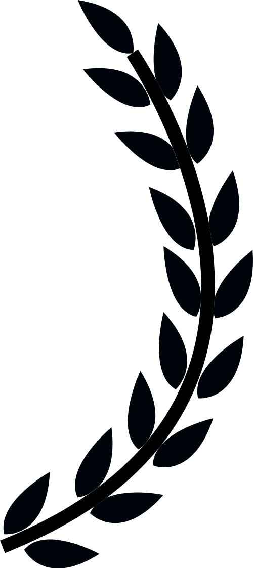 lúa, rice