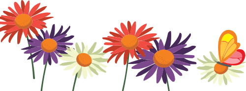 Hoa, flowers