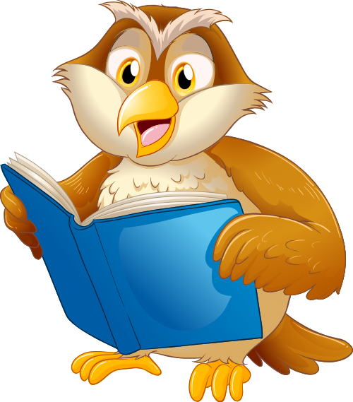 Shape, giáo dục, education, con cú, học tập, sách, book 5
