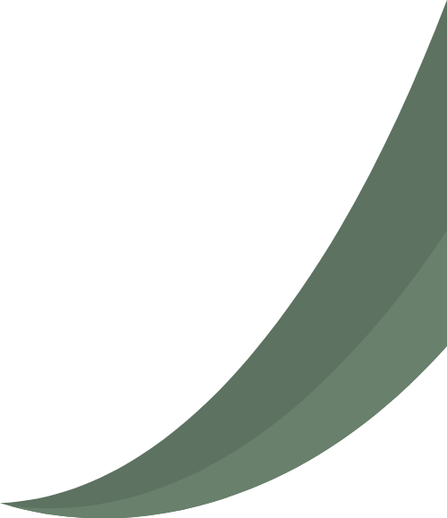 shape, abstract, mảng màu, trừu tượng 1