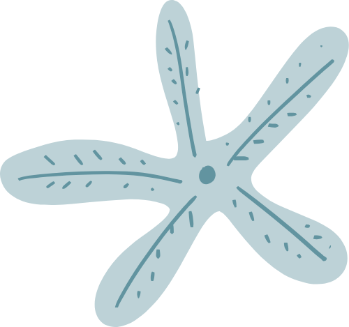 Du lịch, travel, summer, ngôi sao, sao biển, star, starfish