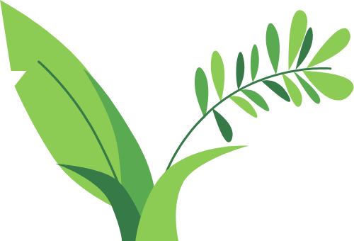 Mùa hè, summer, biển, sea, lá, cỏ,leaves, grass