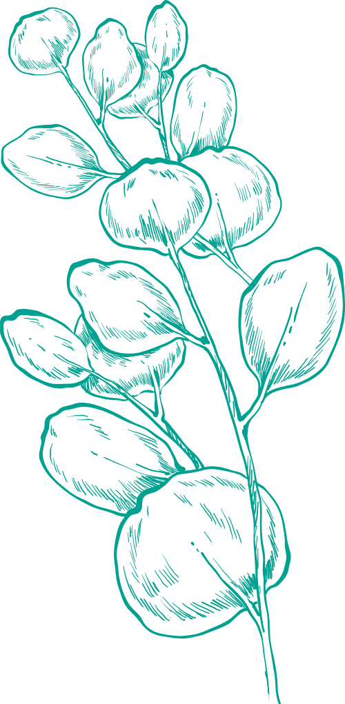 Hoa, đường nét, line, flowers 2