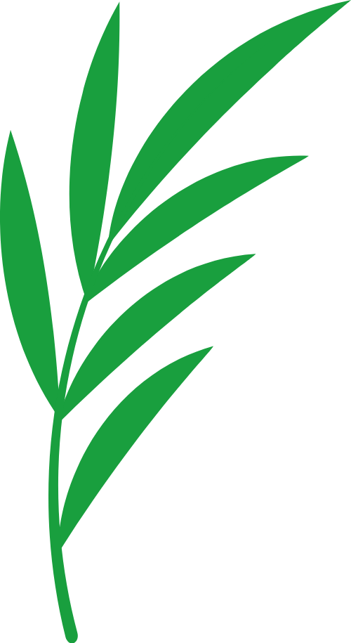Hoa, flower, hoa lá, lá cây, lá, leaf