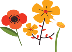 Hoa, flowers